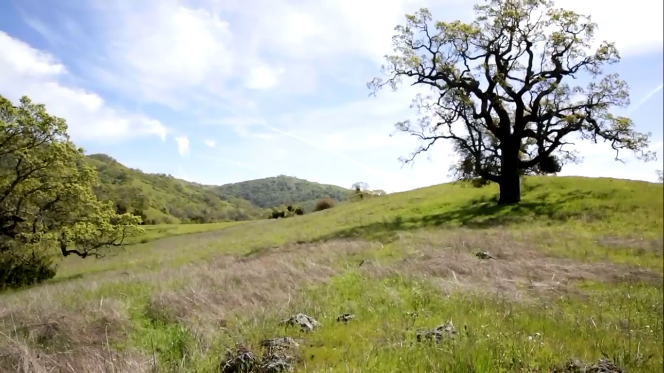 Advanced environmental sensor network at Berkeley's nature reserve - British English Pronunciation Test  326