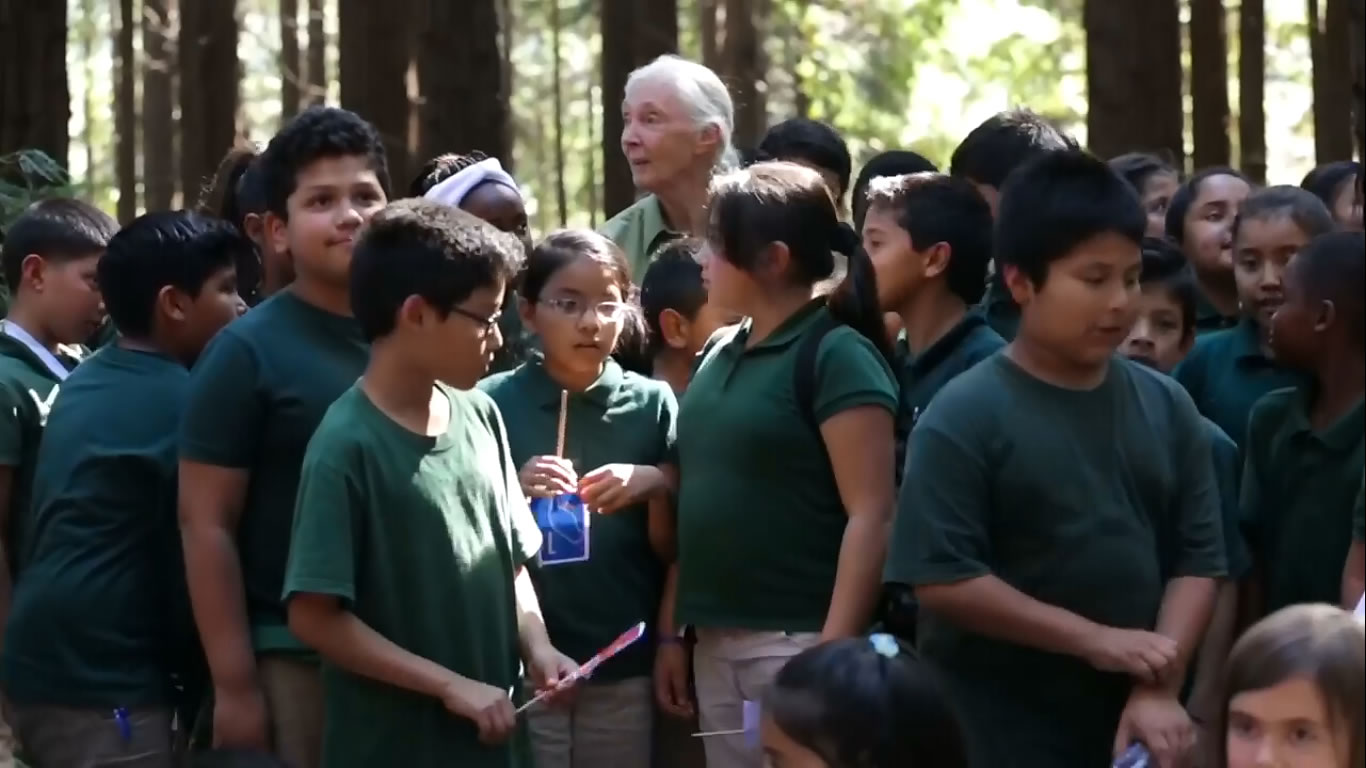 Jane Goodall inspires kids at Berkeley's Redwoods (excerpts) - British English Pronunciation Test  335